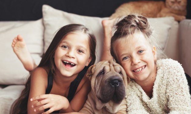 Mamma, me lo compri un cagnolino?