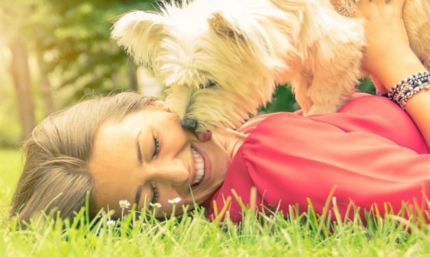 Osservare il proprio cane durante la passeggiata