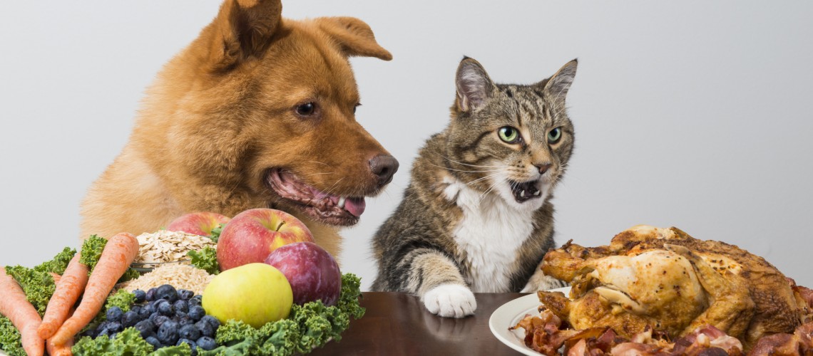 Diets in dogs and cats
