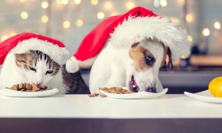 Natale, Animali Domestici e Pacchetti regalo
